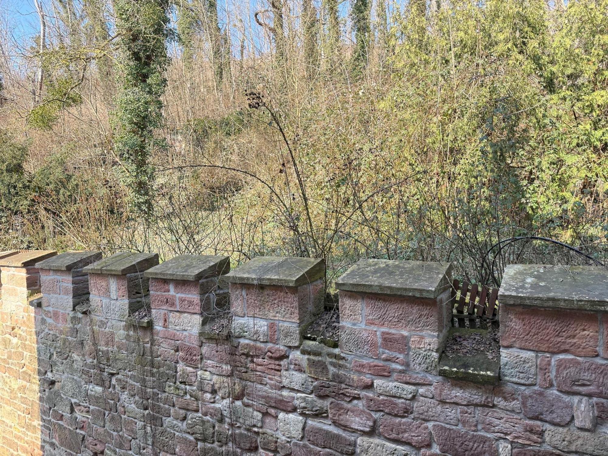 Schloss Zingst Querfurt Exterior foto